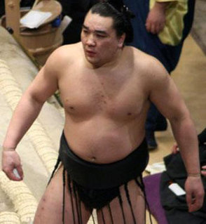 byambadorj_harumafuji-middle