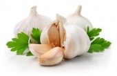 ripe garlic fruits with green parsley leaves