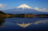 070127_tanuki-fuji[1]