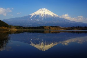 070127_tanuki-fuji[1]