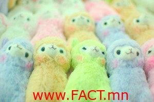 colorful-colors-cute-ovelhas-pastel-colors-Favim_com-176015