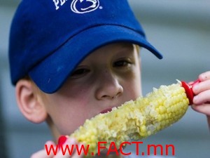 corn2