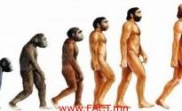 human_evolution