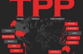 tpp