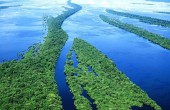 amazon-river-brazil_45174_600x450