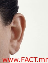 ear