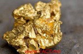 Brazil, Minas Gerais state, Ouro Preto, gold nugget from a mine (Gold Route, Estrada Real)