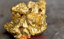 Brazil, Minas Gerais state, Ouro Preto, gold nugget from a mine (Gold Route, Estrada Real)