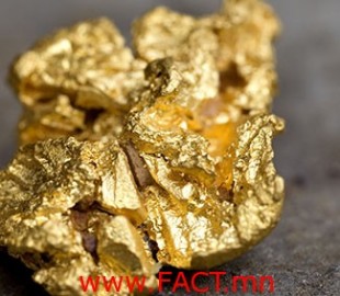 Brazil, Minas Gerais state, Ouro Preto, gold nugget from a mine (Gold Route, Estrada Real)