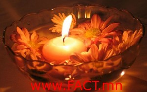 candle_candle_light_4002-2914373707