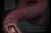 ebola-virus-big