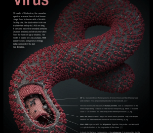 ebola-virus-big