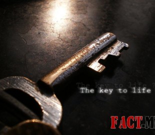 the_key_to_life___by_accursed_sayan-d37dhlw