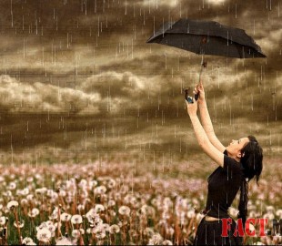 beautiful-rain-flowers-girl-storm-umbrella