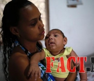 brazil-zika-cdc