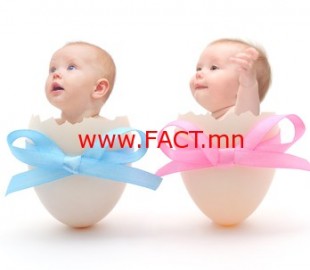 babies in eggs