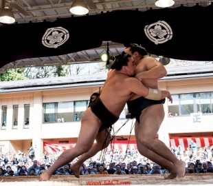 Yasukuni Shrine Ceremonial Sumo Tournament