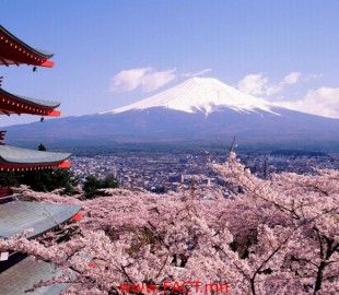 olloo_mn_1500604989_mount-fuji-8