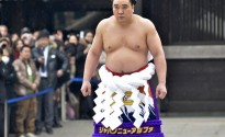 176355-23122015-1450839242-266642672-harumafuji_t