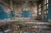 schools-out-nature-reclaiming-an-old-school-gym-beautiful-decay