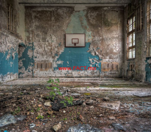 schools-out-nature-reclaiming-an-old-school-gym-beautiful-decay