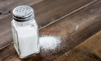 salt-shaker