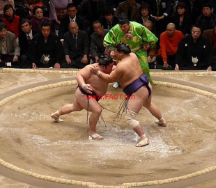 07ad76_sumo_ring_x974