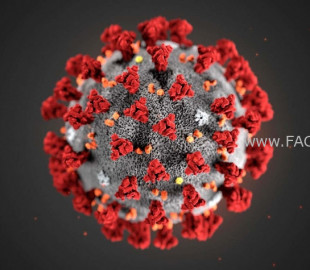 712-1599530403coronavirus